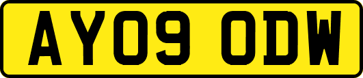 AY09ODW