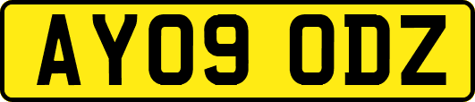AY09ODZ