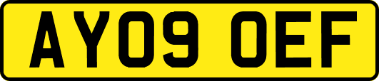 AY09OEF