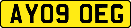 AY09OEG