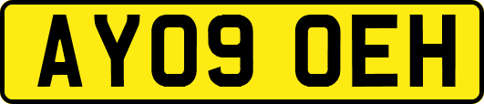 AY09OEH