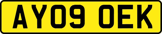 AY09OEK