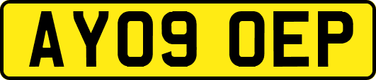 AY09OEP