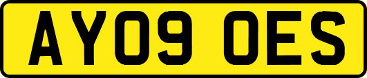 AY09OES