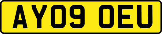 AY09OEU