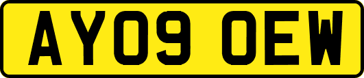 AY09OEW