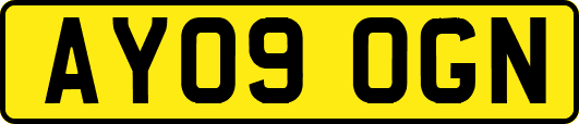 AY09OGN