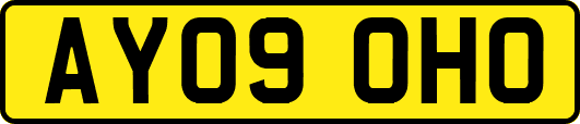AY09OHO