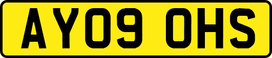 AY09OHS