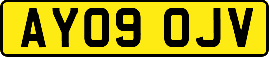 AY09OJV