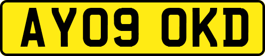 AY09OKD