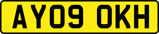 AY09OKH