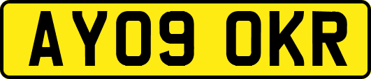 AY09OKR