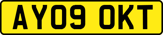AY09OKT