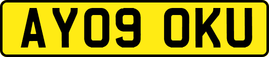 AY09OKU