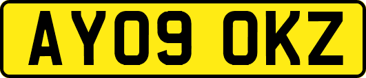 AY09OKZ