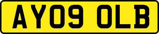 AY09OLB