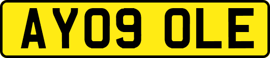 AY09OLE