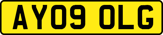 AY09OLG