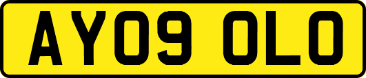 AY09OLO