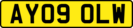 AY09OLW