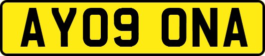 AY09ONA