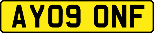 AY09ONF