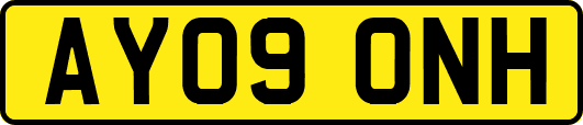 AY09ONH