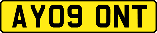 AY09ONT