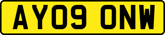 AY09ONW