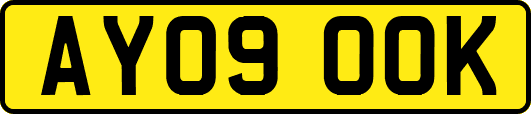 AY09OOK