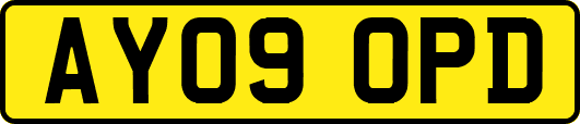 AY09OPD