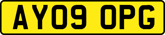 AY09OPG
