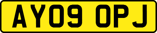 AY09OPJ