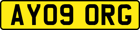 AY09ORG