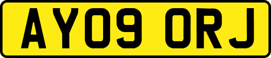 AY09ORJ