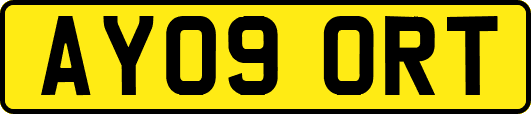 AY09ORT