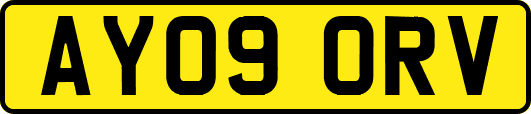 AY09ORV