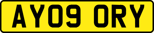 AY09ORY