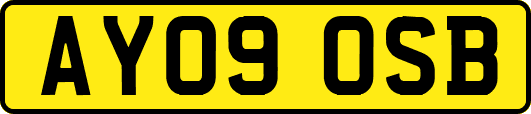 AY09OSB
