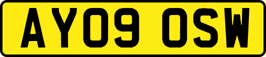AY09OSW