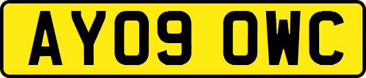 AY09OWC