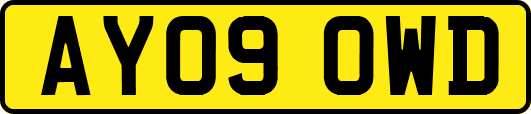AY09OWD