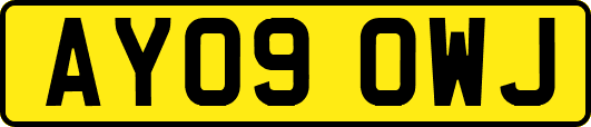 AY09OWJ