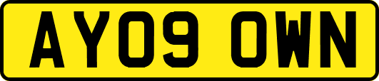 AY09OWN