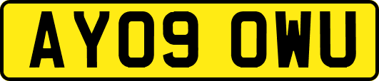 AY09OWU