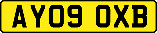 AY09OXB