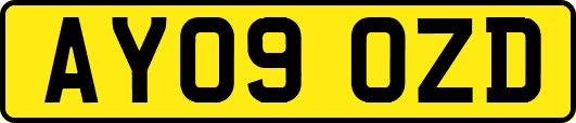 AY09OZD