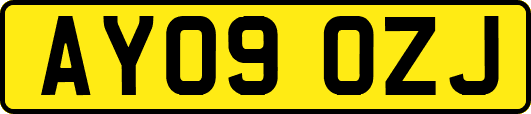 AY09OZJ
