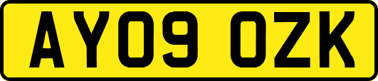 AY09OZK